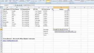 Using Excels Subtotal Function with Filters in Excel