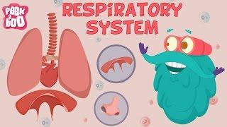Respiratory System  The Dr. Binocs Show  Learn Videos For Kids