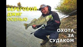 Джиг с берега осенью. Охотимся на судака