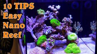 Top 10 TIPS for an EASY & Successful Nano Reef Tank
