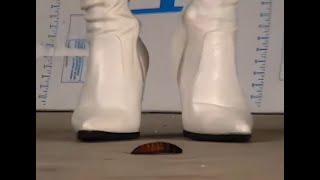 N80 Bug Crush Teaser - Two girls White boots and Cockroaches