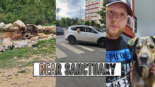 Visiting wild Bears in the Sanctuary Prishtina & Feeding Stray dogs  Kosovo