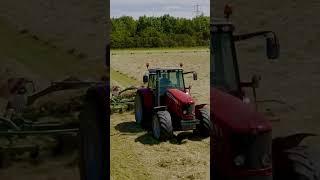 Raking Up The Hay