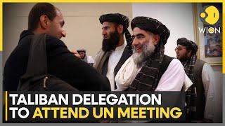 Talibans delegation to attend UN-led meeting in Qatar  Latest News  WION