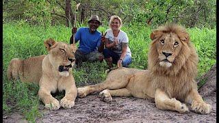 The Lion Walk at Fathala Wildlife ReserveSenegal with THE DEES