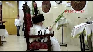 Hoshana Rabbah With Kaliver Rebbe - 20175778