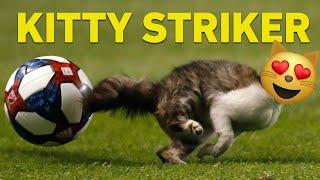 Cat Runs On Soccer Field & Almost Scores a Goal