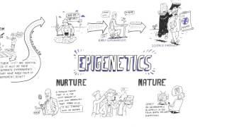 Epigenetics Nature vs nurture