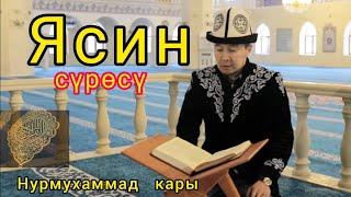 Ясин сүрөсү - Нурмухаммад кары