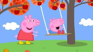 The Apple Tree   Peppa Pig Official Full Episodes
