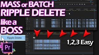 Mass Ripple Delete Like a Boss in Adobe Premiere ALL VERSIONS