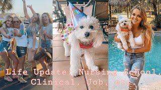 VLOG Nursing School Update Future plans Job offer etc.