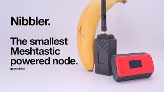 Nibbler - The Smallest Meshtastic powered Node probably