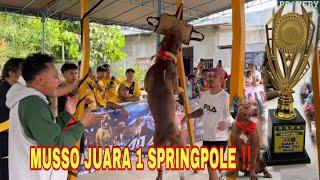 MUSSO JUARA 1 LOMBA SPRINGPOLE ‼️