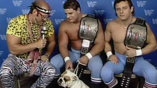 The British Bulldogs debut their mascot Matilda WWE Superstars Oct. 11 1986