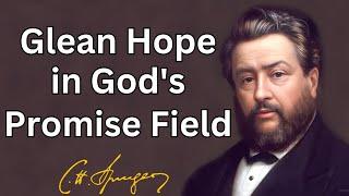 Glean Hope in Gods Promise Field  Charles Spurgeon Devotional  Morning&EveningDaily Readings