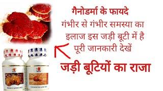 DXN#गैनोडर्मा#ल्यूसिडम#के#फायदे #benifits#Ganoderma#Lucidum#dxn