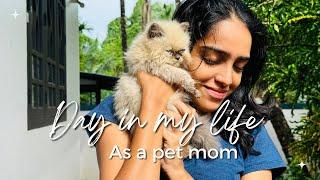 A Day in my life as a pet mom I Alida Vincent