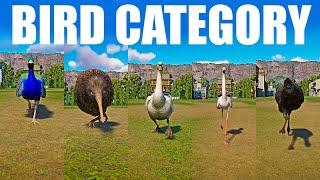 Bird Category Speed Race in Planet Zoo included Kiwi Emu Swan Flamingo Indian Peafowl