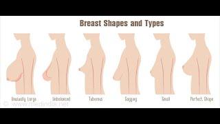 9 Various types of breasts Shapes @ watch and Subscribe