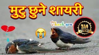 Heart Touching Nepali Shayari  Nepali Poetry  Nepali Shayari  Part1  Narayan Ale