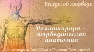 Беседы об Аюрведе 11. Рачнашарира - аюрведическая анатомия