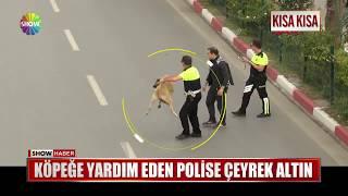 Köpeğe yardım eden polise çeyrek altın