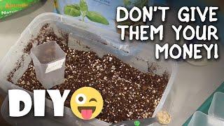 Best Homemade Seed Starting Potting Mix Test  Review Miracle Gro Espoma Simple Organic DIY