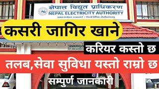 nepal bidhut pradhikaran vacancy 2080  loksewa vacancy 2080  gk iq loksewa plus  nea vacancy 2080