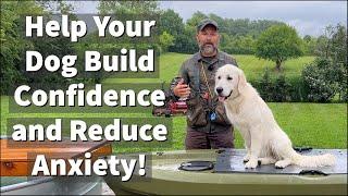 How To Build Confidence & Reduce Anxiety In Fearful and Anxious Dogs