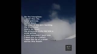 AI poem of the day 23