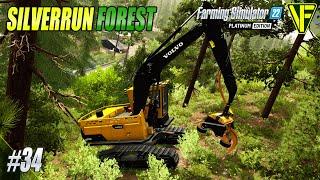 Back To The Trees  Silverrun Forest  Farming Simulator 22