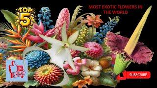 TOP5 MOST EXOTIC FLOWERS IN THE WORLD.