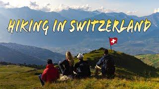 SwissAlpine Adventure