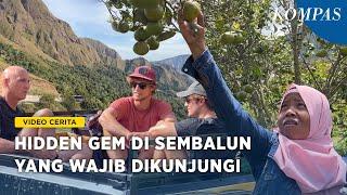 Enggak Cuma Rinjani Berikut Lokasi Wisata di Sembalun yang Layak Dikunjungi