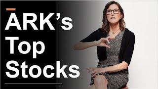 ARKs Top Stocks  The Best Cathie Wood Picks