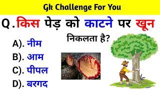 GK Question  GK In Hindi  GK Question and Answer  GK Quiz  BR GK STUDY 