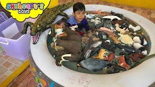 100 ANIMALS swimming in the pool Skyheart plays with animal toys for kids mojo planet