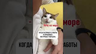 Мы отправим вас на отдых хоть СЕГОДНЯ#горящиетуры #турция #отдых #отпуск #турагент #купитьтуронлайн