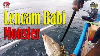 Mancing Ikan di Laut Gerupuk Serie #1 Strike Lencam Babi Monster