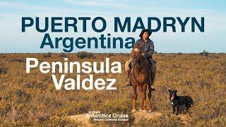 14-Night Antarctica Cruise Excursion to Peninsula Valdez in Puerto Madryn Argentina