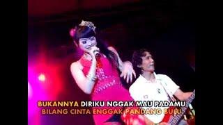 Erwin Mareta - Ilfeel  Dangdut OFFICIAL