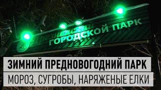 Дрезненский городской парк - зимний снежный предновогодний