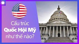 Cấu Trúc Quốc Hội Mỹ Như Thế Nào?