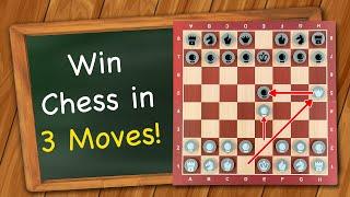 How to win Chess in 3 moves