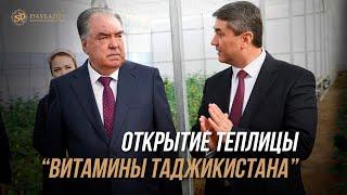 Открытие инновационной теплицы Витамины Таджикистана