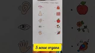 5 sense organs #senseorgan #evs #shorts #shortsfeed #ytshorts