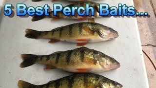 Perch Fishing Tips - The Only 5 Perch Baits That Matter