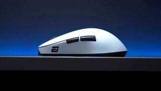 Endgame Gear XM2we Review  Expectations From New Gaming Mouse 2023