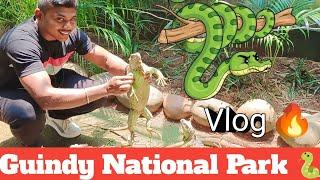 கிண்டி தேசியப் பூங்கா  Guindy National park  கிண்டி பாம்புப் பண்ணை  Guindy Snake park 